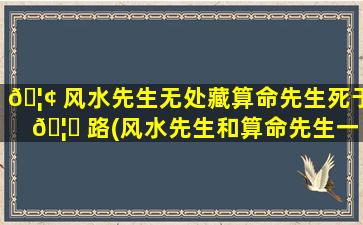 🦢 风水先生无处藏算命先生死于 🦊 路(风水先生和算命先生一样吗)